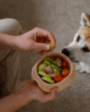 diet management