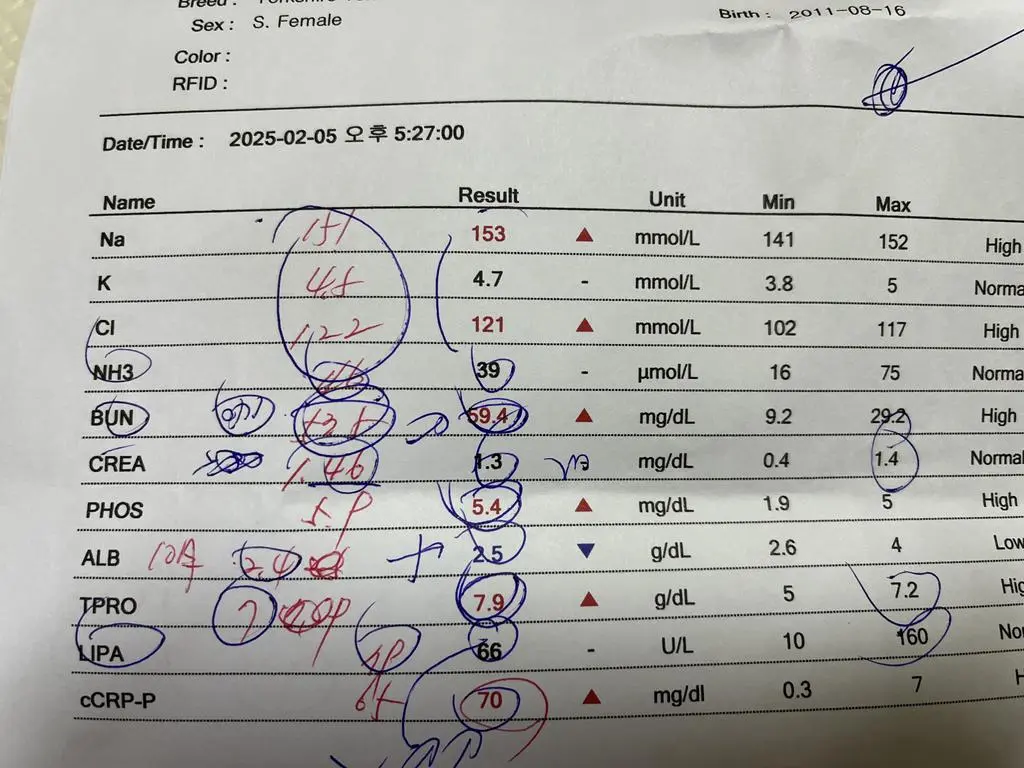 롱이 보호자님 후기