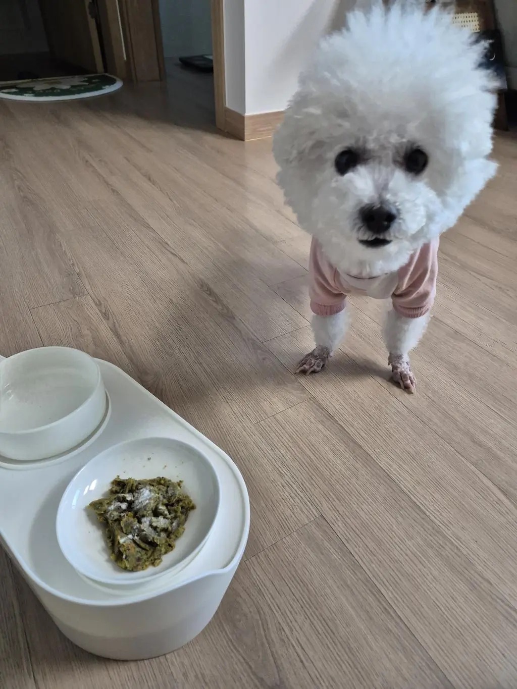 하이 보호자님 후기